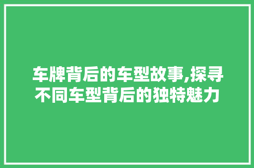 车牌背后的车型故事,探寻不同车型背后的独特魅力