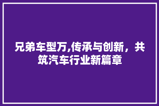 兄弟车型万,传承与创新，共筑汽车行业新篇章