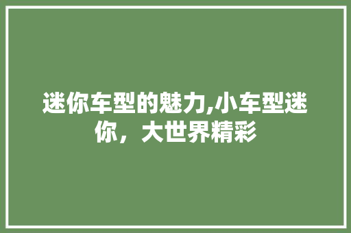 迷你车型的魅力,小车型迷你，大世界精彩