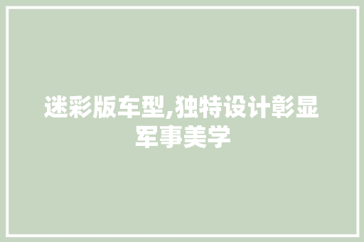 迷彩版车型,独特设计彰显军事美学