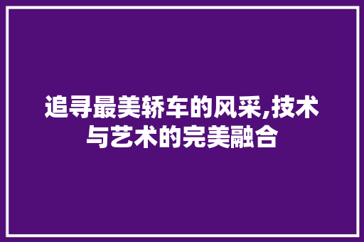 追寻最美轿车的风采,技术与艺术的完美融合