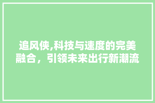 追风侠,科技与速度的完美融合，引领未来出行新潮流