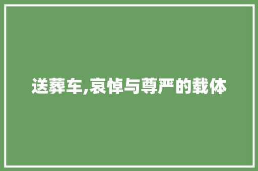 送葬车,哀悼与尊严的载体