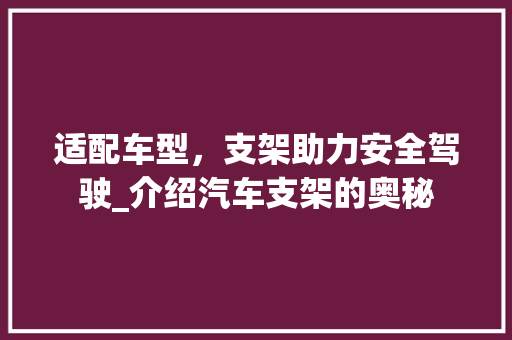 适配车型，支架助力安全驾驶_介绍汽车支架的奥秘