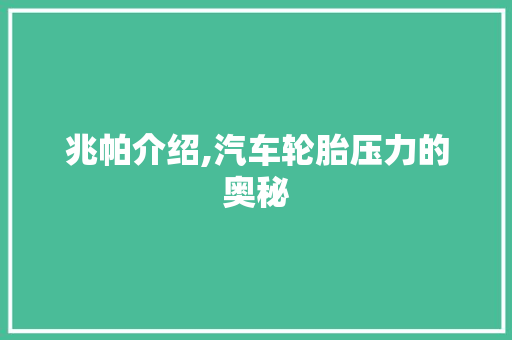 兆帕介绍,汽车轮胎压力的奥秘