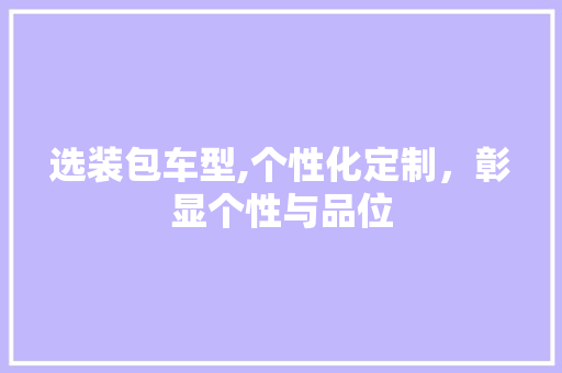 选装包车型,个性化定制，彰显个性与品位