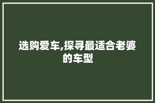 选购爱车,探寻最适合老婆的车型