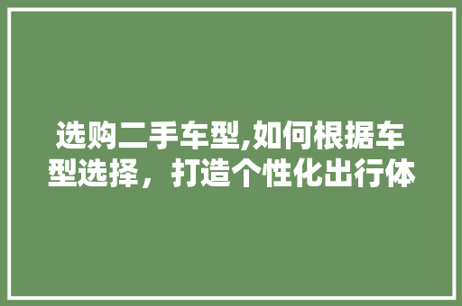 选购二手车型,如何根据车型选择，打造个性化出行体验