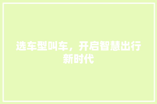 选车型叫车，开启智慧出行新时代