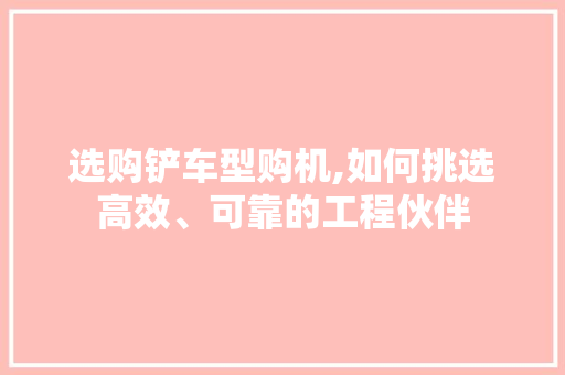 选购铲车型购机,如何挑选高效、可靠的工程伙伴