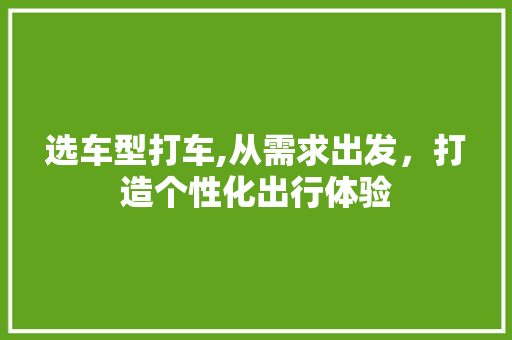 选车型打车,从需求出发，打造个性化出行体验