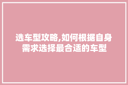 选车型攻略,如何根据自身需求选择最合适的车型