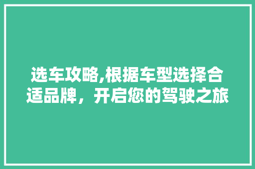 选车攻略,根据车型选择合适品牌，开启您的驾驶之旅