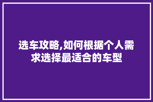 选车攻略,如何根据个人需求选择最适合的车型