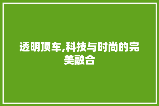 透明顶车,科技与时尚的完美融合