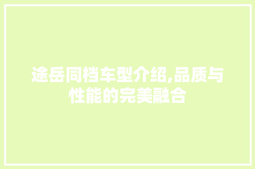 途岳同档车型介绍,品质与性能的完美融合