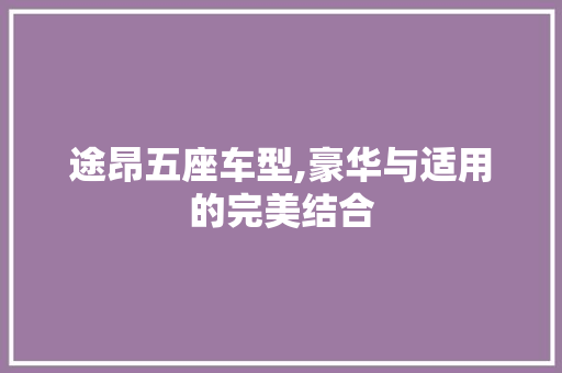 途昂五座车型,豪华与适用的完美结合