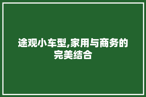 途观小车型,家用与商务的完美结合
