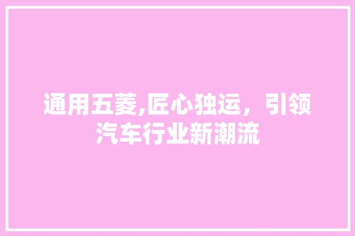 通用五菱,匠心独运，引领汽车行业新潮流