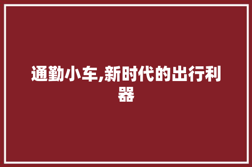 通勤小车,新时代的出行利器
