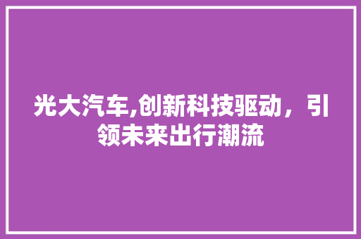 光大汽车,创新科技驱动，引领未来出行潮流