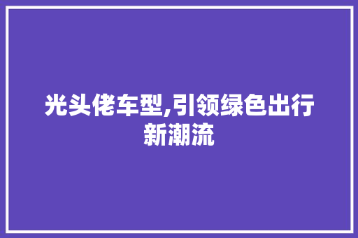 光头佬车型,引领绿色出行新潮流