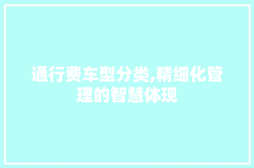 通行费车型分类,精细化管理的智慧体现