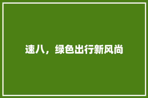 速八，绿色出行新风尚