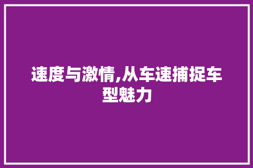 速度与激情,从车速捕捉车型魅力