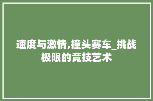 速度与激情,撞头赛车_挑战极限的竞技艺术