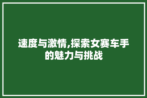 速度与激情,探索女赛车手的魅力与挑战