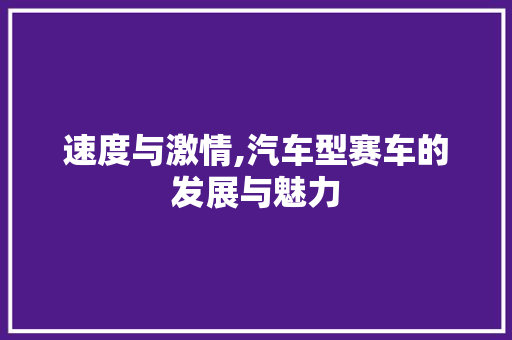 速度与激情,汽车型赛车的发展与魅力