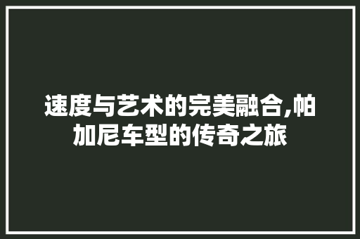 速度与艺术的完美融合,帕加尼车型的传奇之旅