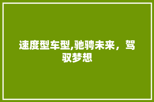 速度型车型,驰骋未来，驾驭梦想