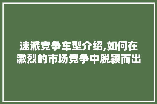 速派竞争车型介绍,如何在激烈的市场竞争中脱颖而出