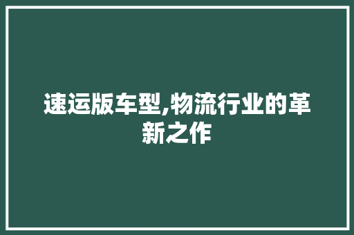 速运版车型,物流行业的革新之作