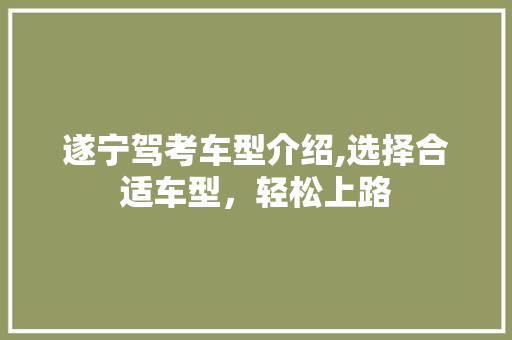 遂宁驾考车型介绍,选择合适车型，轻松上路