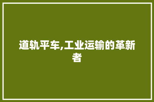 道轨平车,工业运输的革新者