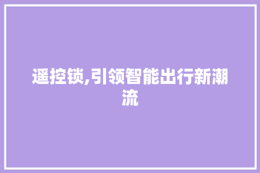 遥控锁,引领智能出行新潮流