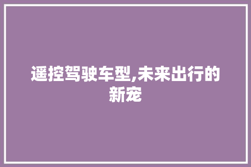 遥控驾驶车型,未来出行的新宠