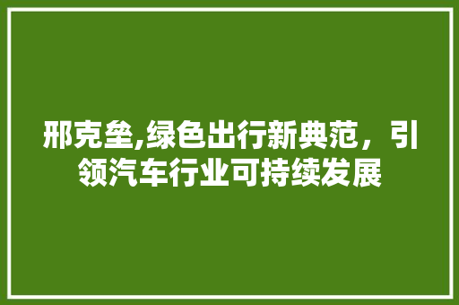 邢克垒,绿色出行新典范，引领汽车行业可持续发展
