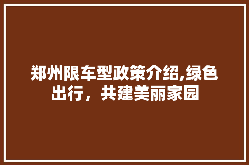郑州限车型政策介绍,绿色出行，共建美丽家园