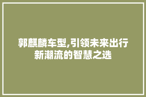 郭麒麟车型,引领未来出行新潮流的智慧之选 车灯配件