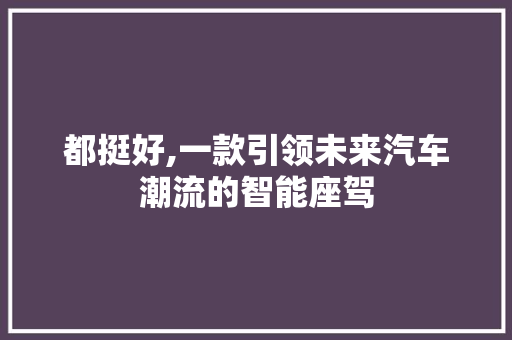 都挺好,一款引领未来汽车潮流的智能座驾