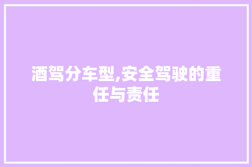 酒驾分车型,安全驾驶的重任与责任