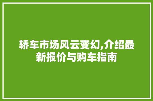 轿车市场风云变幻,介绍最新报价与购车指南