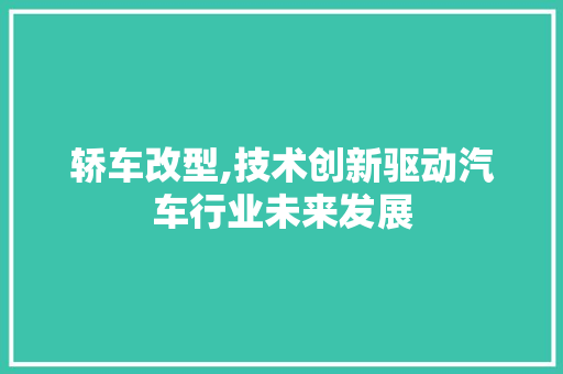轿车改型,技术创新驱动汽车行业未来发展