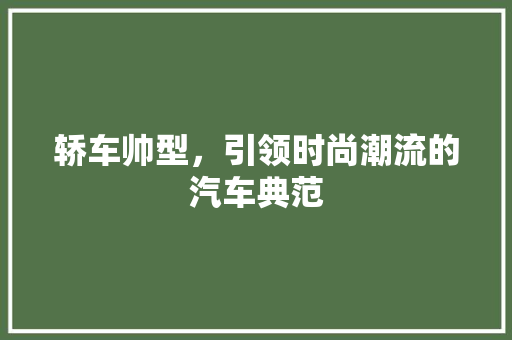 轿车帅型，引领时尚潮流的汽车典范