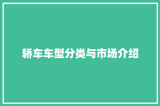 轿车车型分类与市场介绍