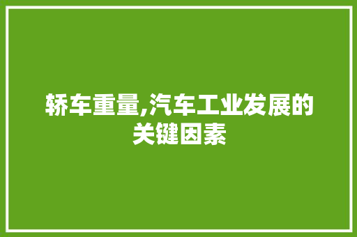 轿车重量,汽车工业发展的关键因素